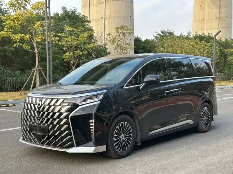 Denza D9, 2024