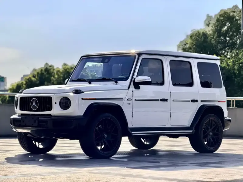 Mercedes-Benz G-Class, 2021 — фото 1