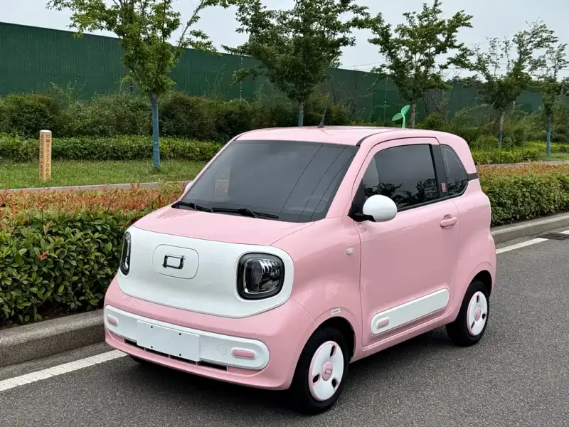 Bestune Pony, 2024