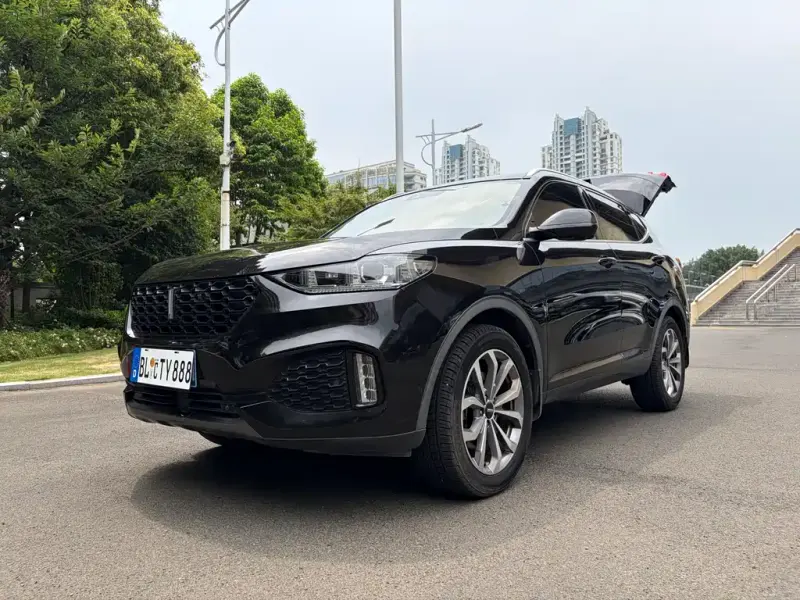 Wey VV6, 2018