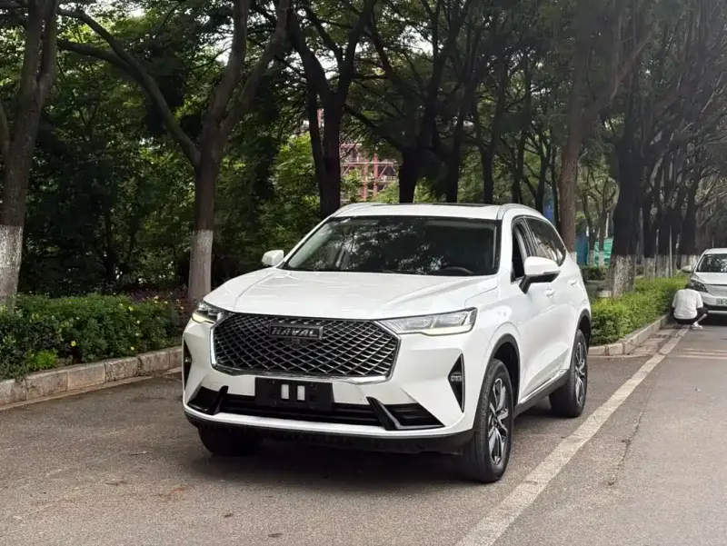 Haval H6, 2020