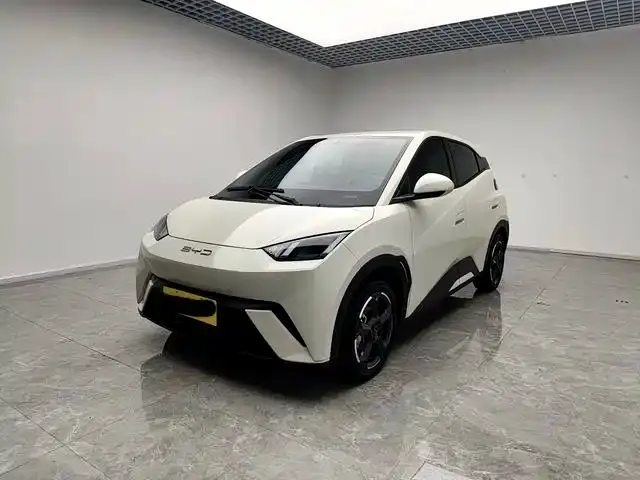 BYD Seagull, 2023