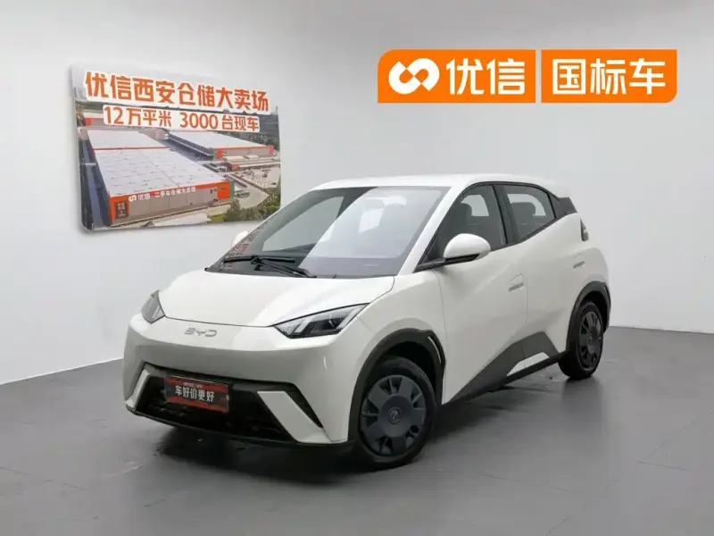 BYD Seagull, 2023