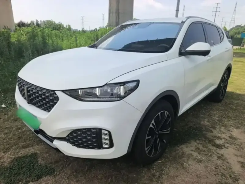 Wey VV6, 2020