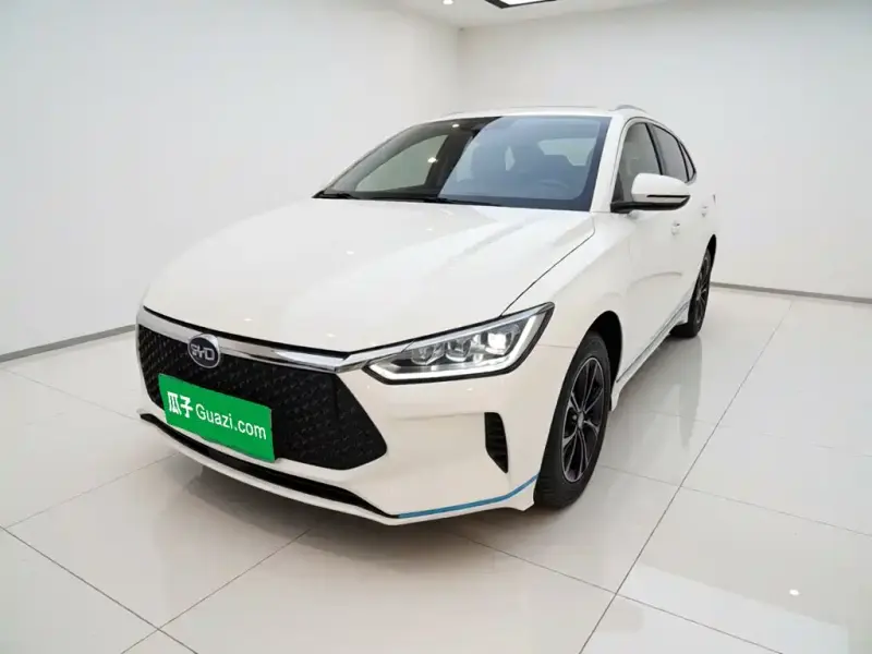 BYD e2, 2020