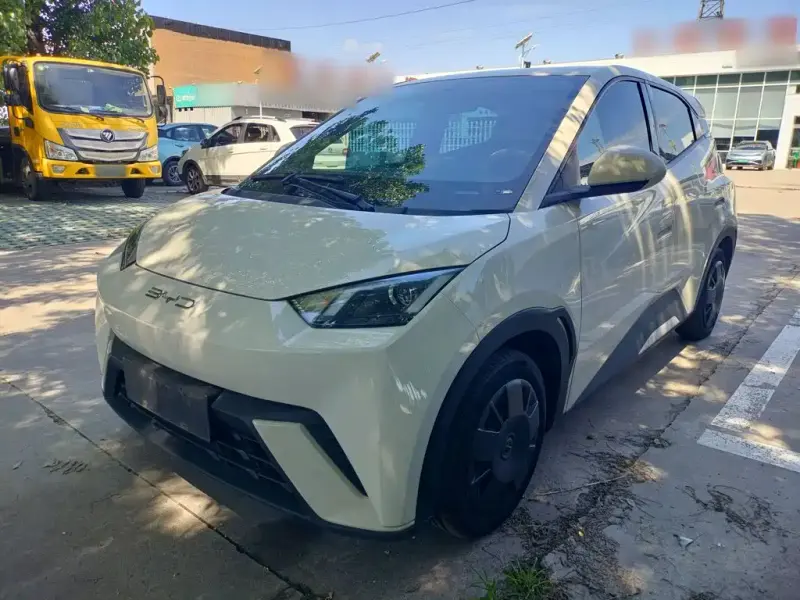 BYD Seagull, 2024