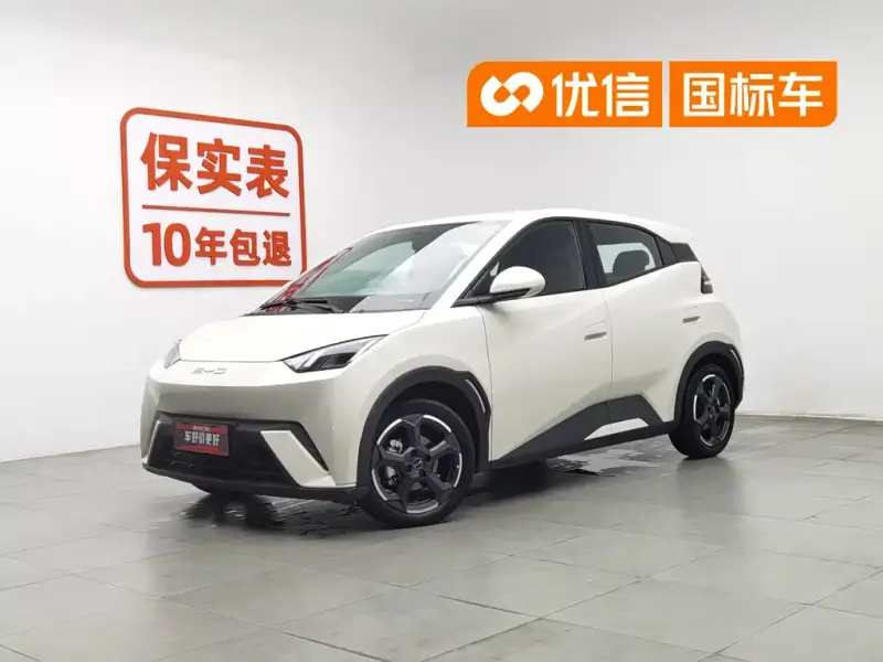 BYD Seagull, 2023
