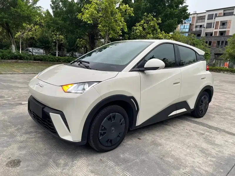 BYD Seagull, 2024