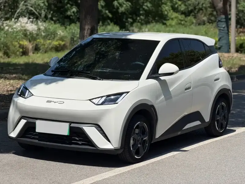 BYD Seagull, 2024