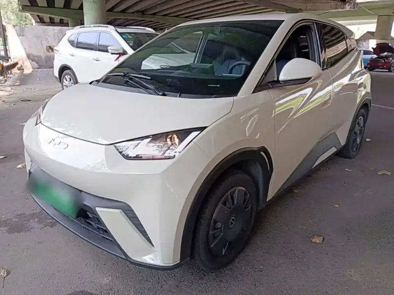 BYD Seagull, 2024