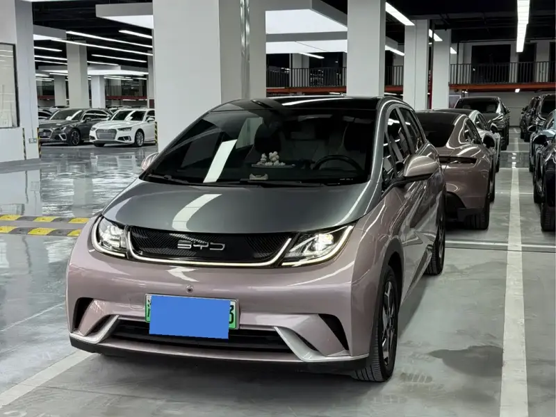 BYD Dolphin, 2022
