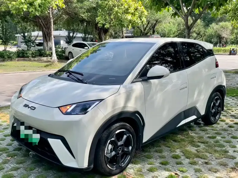 BYD Seagull, 2024