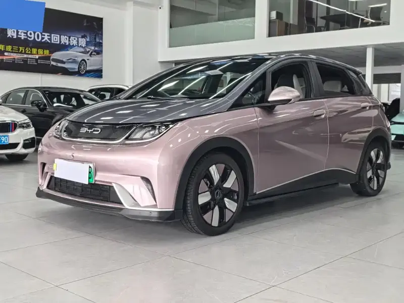 BYD Dolphin, 2022