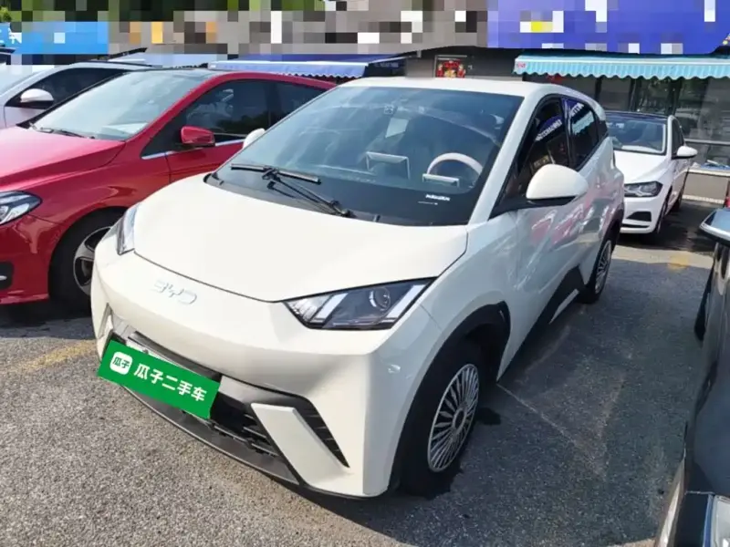 BYD Seagull, 2024