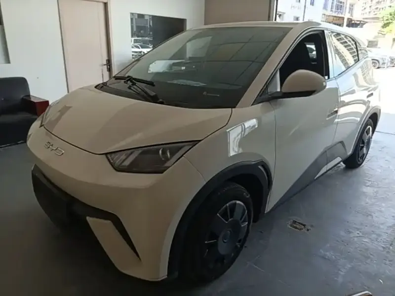 BYD Seagull, 2024