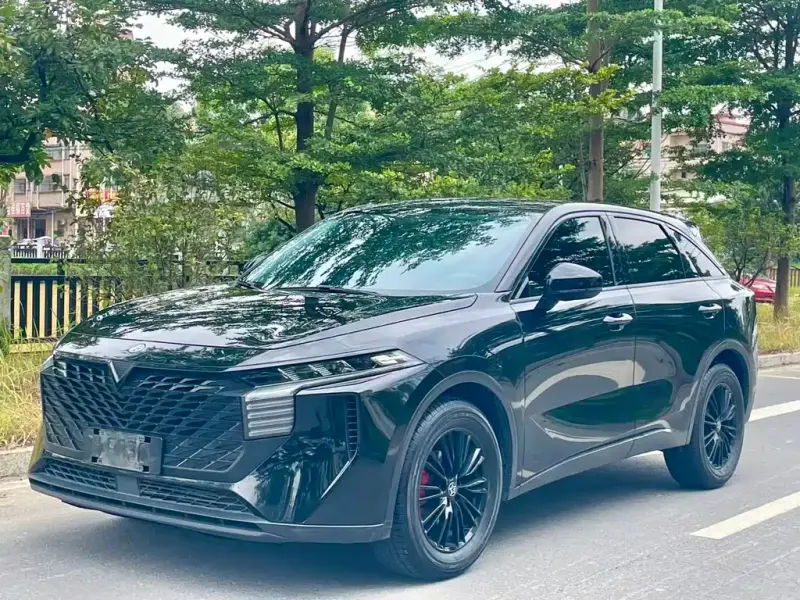 Venucia V, 2023