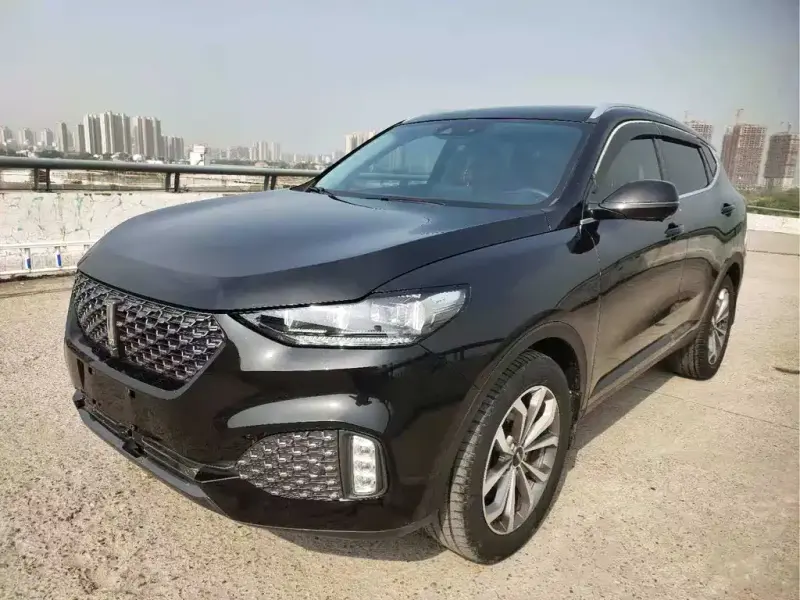 Wey VV6, 2020