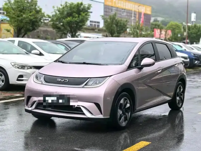 BYD Dolphin, 2024
