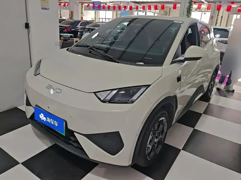 BYD Seagull, 2025