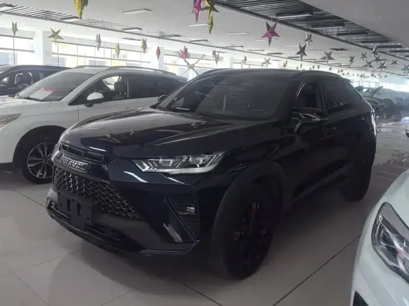 Haval H6S, 2022