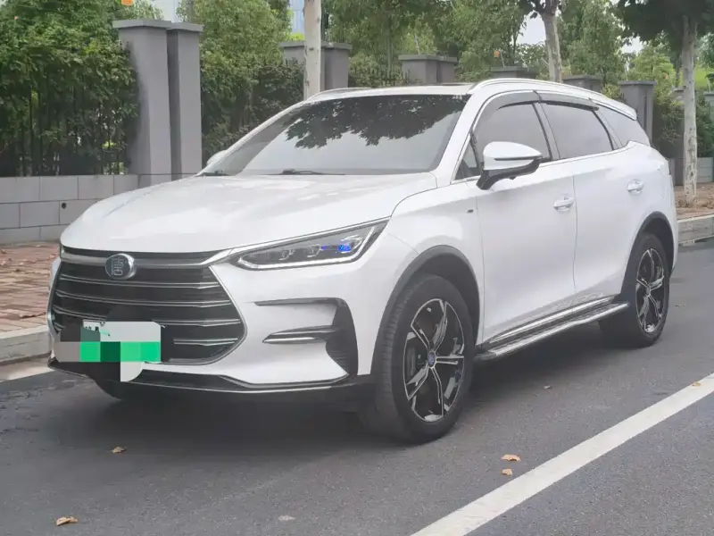 BYD Tang New Energy, 2021