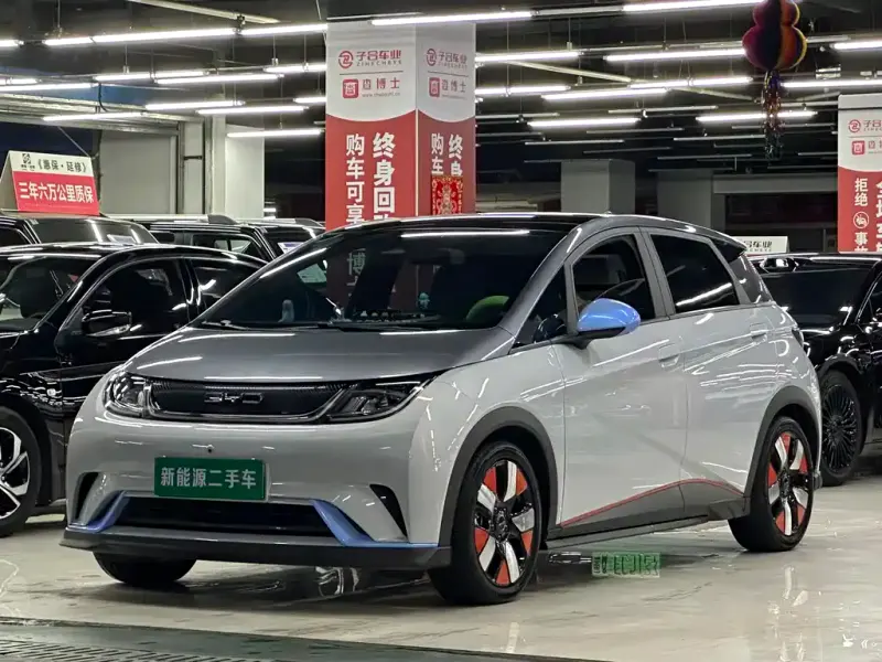 BYD Dolphin, 2022