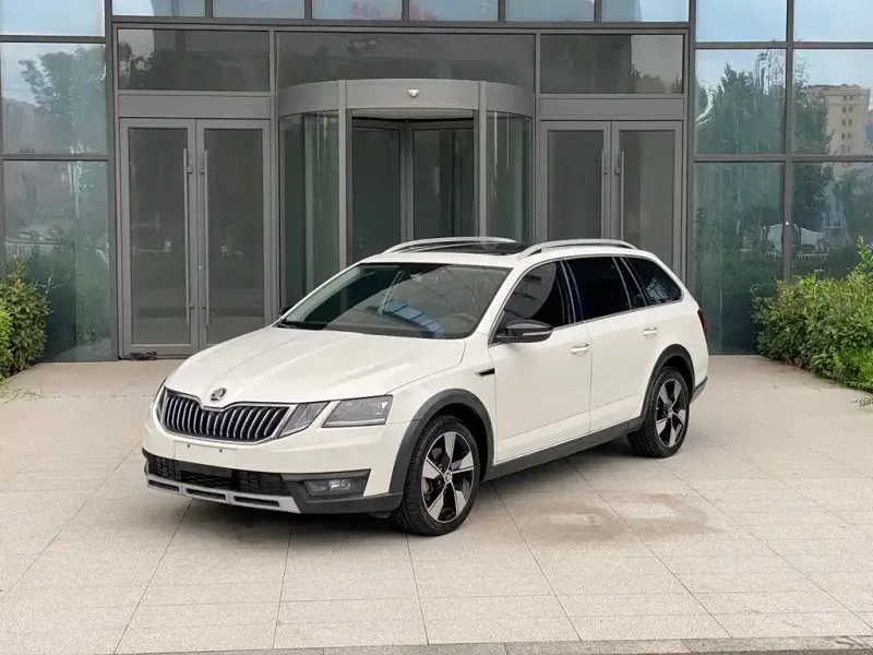 Skoda Octavia, 2020 — фото 1