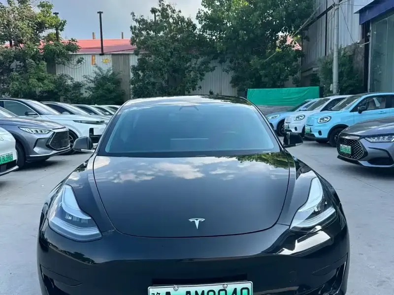 Tesla Model 3, 2020