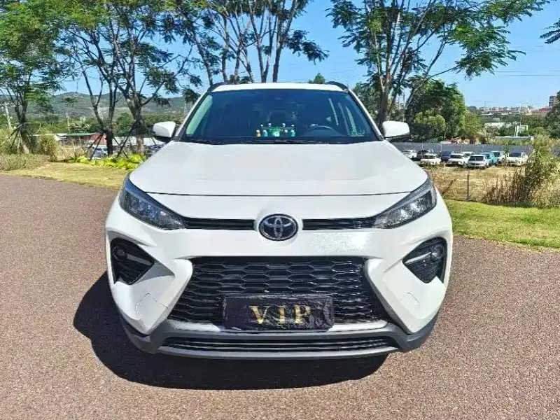 Toyota Wildlander, 2022