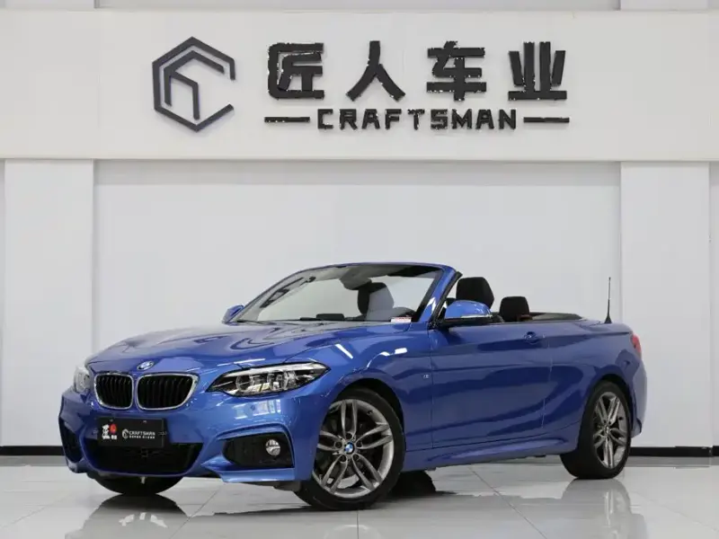 BMW 2 Series (Import), 2018
