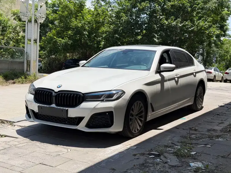 BMW 5 Series, 2019