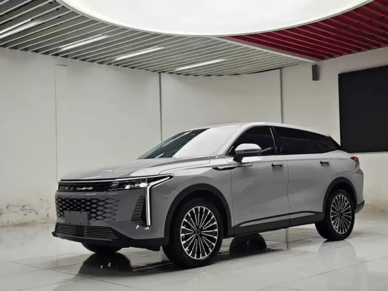 Exeed Yaoguang C-DM, 2024