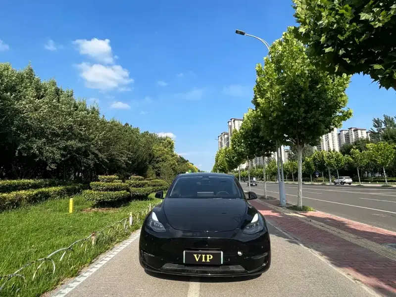 Tesla Model Y, 2021