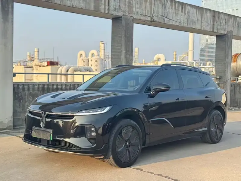 VOYAH Zhiyin, 2025