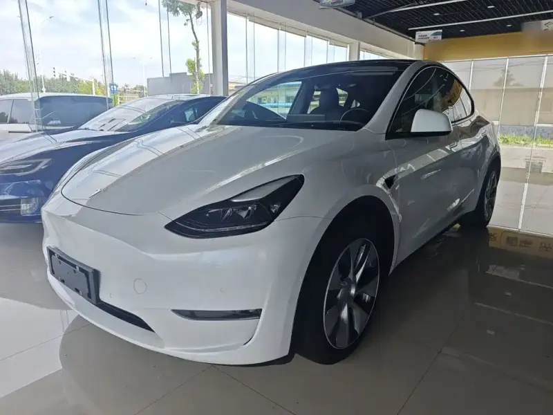Tesla Model Y, 2021