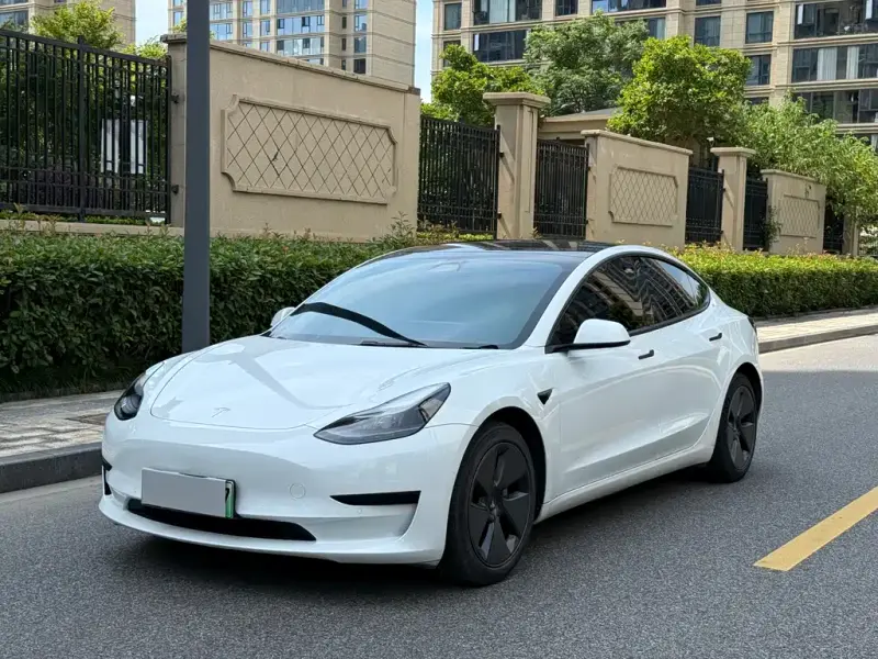 Tesla Model 3, 2021