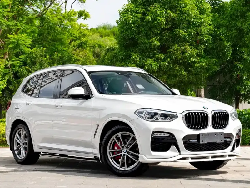 BMW X3, 2019 — фото 1