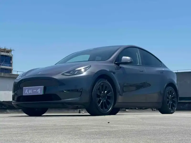 Tesla Model Y, 2021