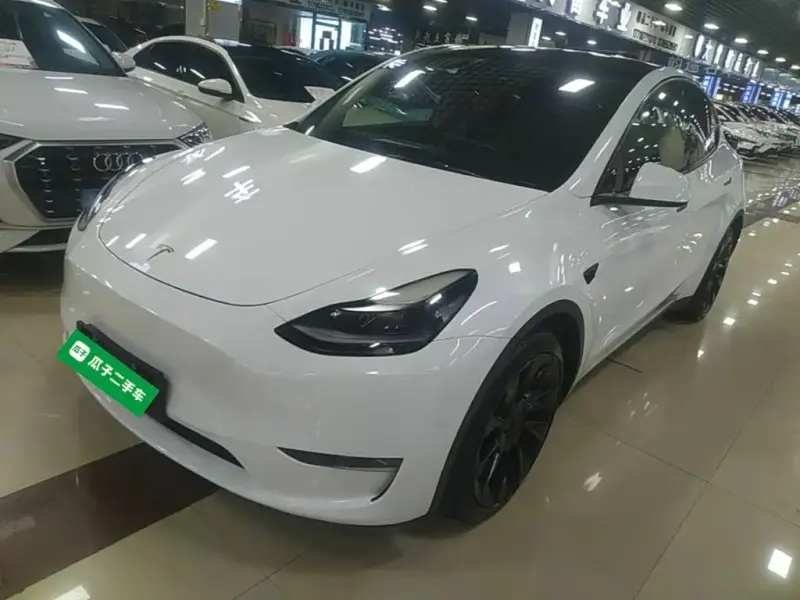 Tesla Model Y, 2021 — фото 1