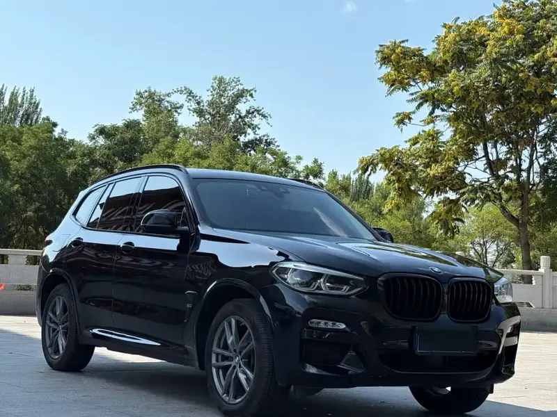 BMW X3, 2019 — фото 1