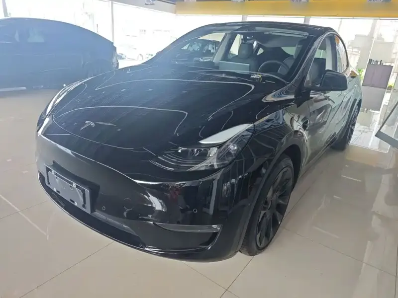 Tesla Model Y, 2021