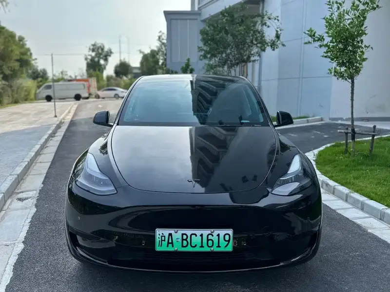 Tesla Model Y, 2022
