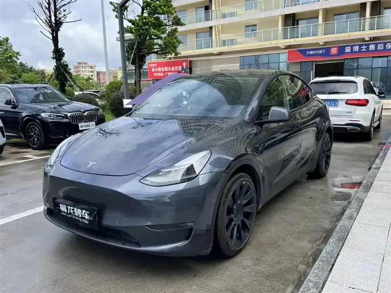 Tesla Model Y, 2021