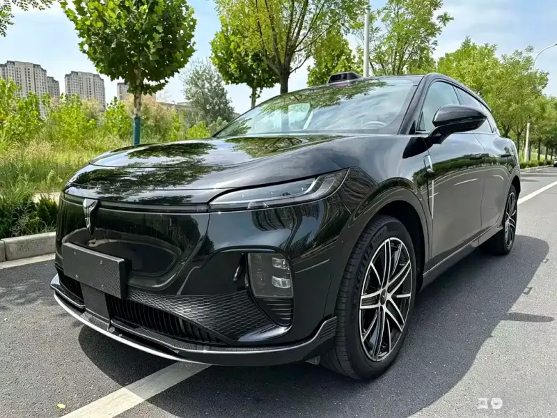 VOYAH Zhiyin, 2025