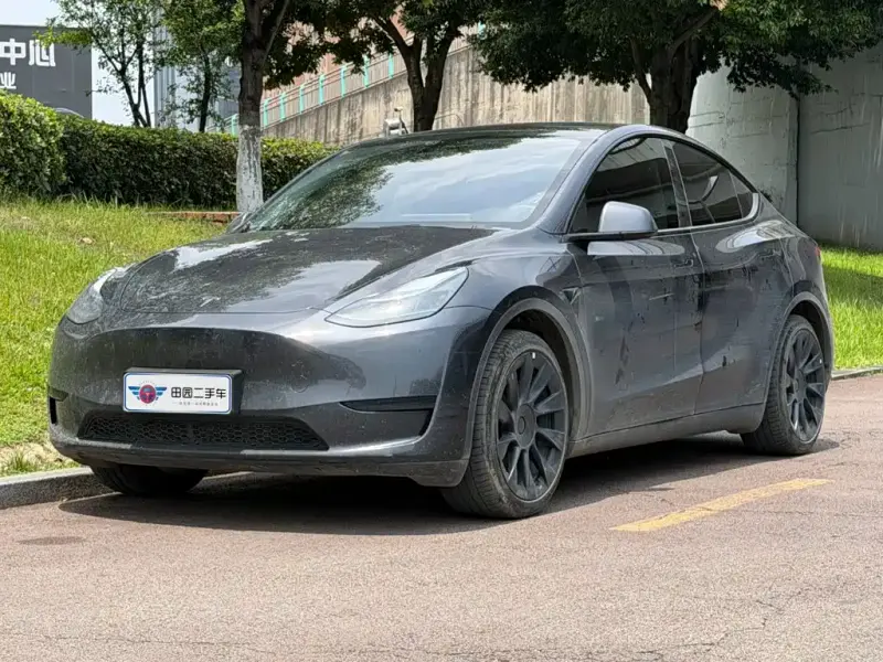 Tesla Model Y, 2024