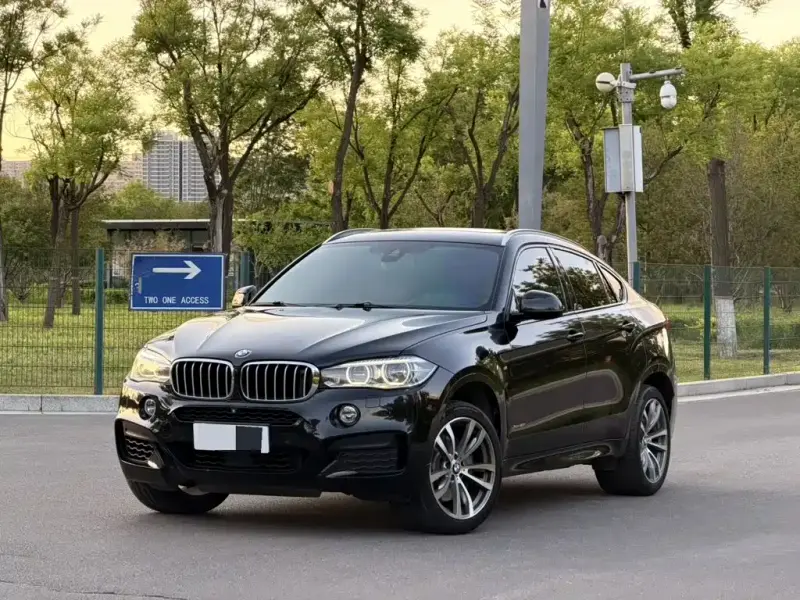 BMW X6, 2017 — фото 1
