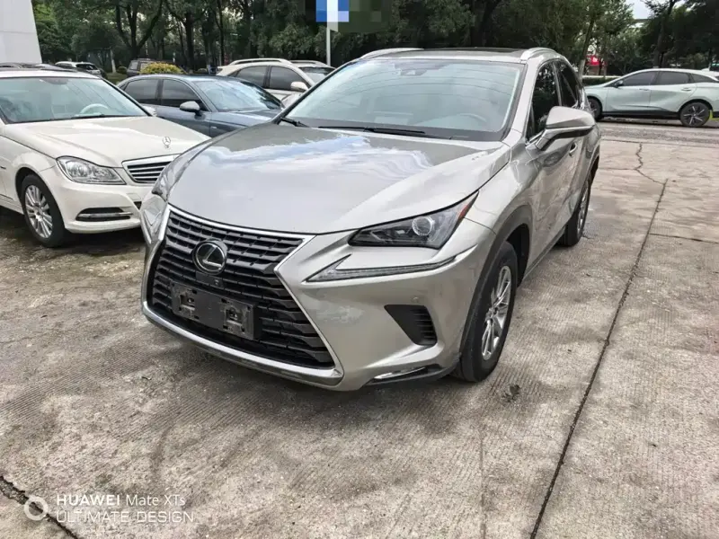 Lexus NX, 2021 — фото 1
