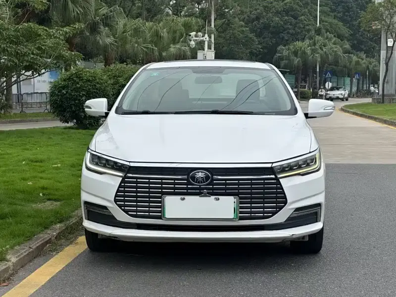 BYD Qin NEV, 2020 — фото 1