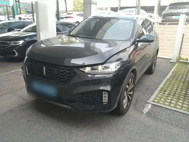 Wey VV6, 2019