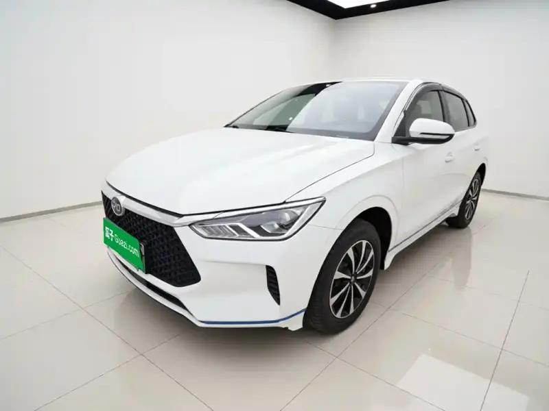 BYD e2, 2021